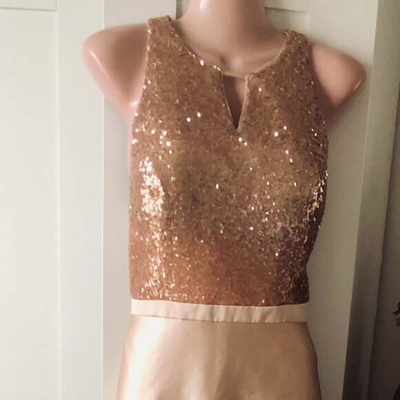 Christina Wu Celebration Formal Dress Size 10 | Sequin Top Satin Skirt Blush Gow - Picture 2 of 9